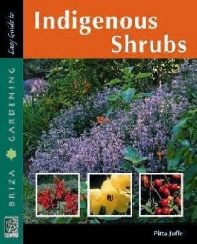9781875093403: Easy guide to indigenous shrubs