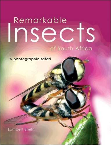 Imagen de archivo de Remarkable insects of South Africa a la venta por GreatBookPrices