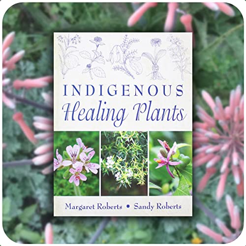Beispielbild fr Indigenous healing plants (Hardcover) zum Verkauf von CitiRetail