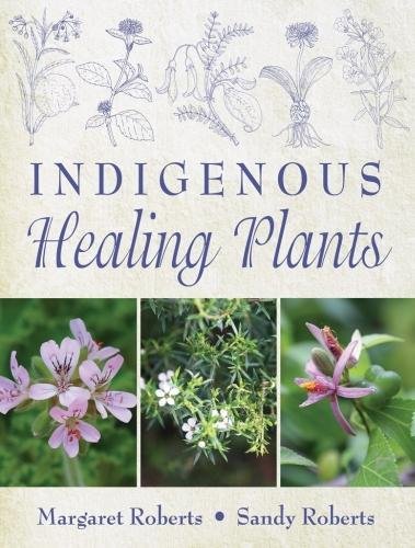 9781875093823: Indigenous healing plants