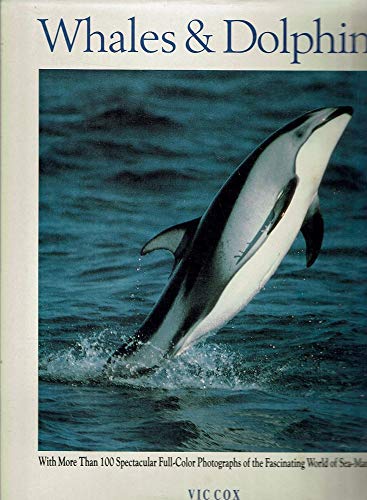 Stock image for Whales & Dolphins for sale by Ripponlea Books