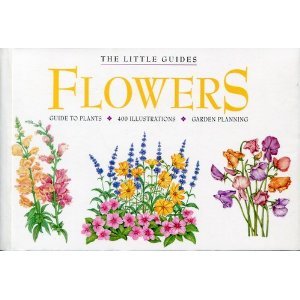 Flowers. Little Guide