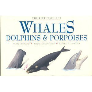 9781875137800: Whales, Dolphins, and Porpoises
