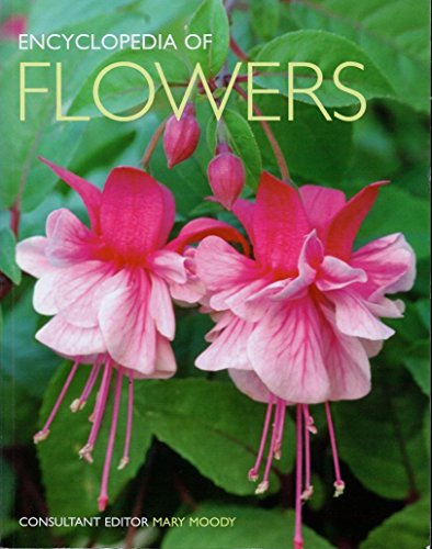 Beispielbild fr Encyclopedia of Flowers: Over 1,000 Popular Flowers, Flowering Shrubs and Trees zum Verkauf von New Legacy Books