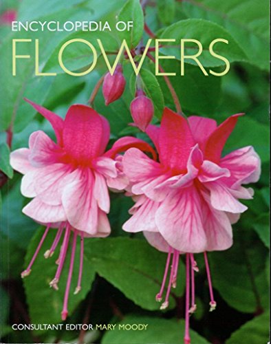 Imagen de archivo de Encyclopedia of Flowers: Over 1,000 Popular Flowers, Flowering Shrubs and Trees a la venta por New Legacy Books
