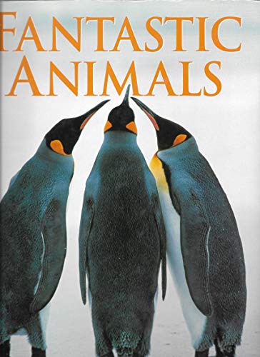 Imagen de archivo de Fantastic Animals a la venta por Better World Books: West