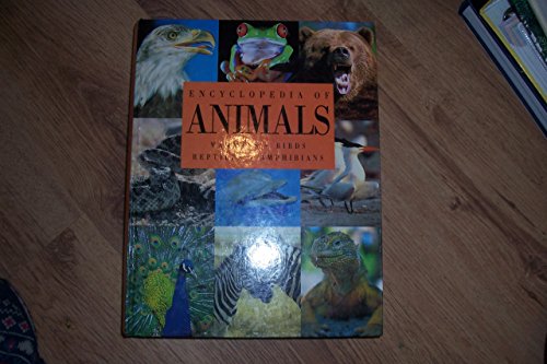 Stock image for Encyclopedia of Animals for sale by Hawking Books