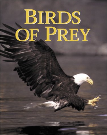 Stock image for Birds of Prey for sale by Wonder Book