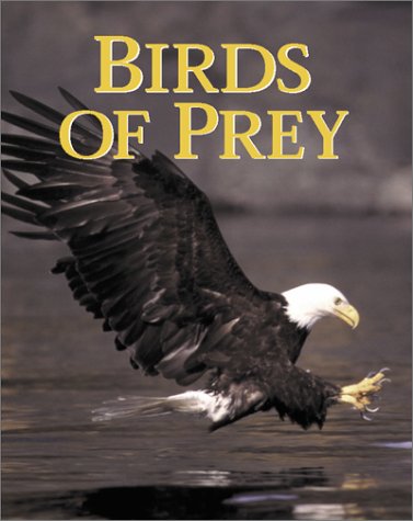Stock image for BIRDS OF PREY for sale by Falls Bookstore