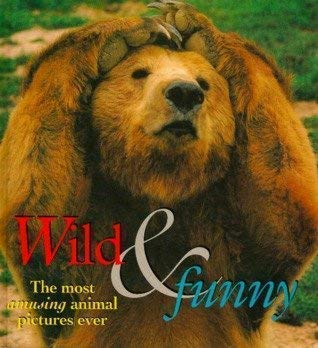 Stock image for Wild & Funny The Most Amusing Animal Pictures Ever for sale by Wonder Book