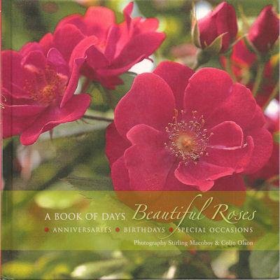 Stock image for A BOOK OF DAYS - BEAUTIFUL ROSES - Birthdays, Anniversaries, Special Occasions for sale by RAS BAZAAR