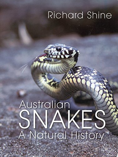Beispielbild fr Australian Snakes: A Natural History zum Verkauf von WeBuyBooks