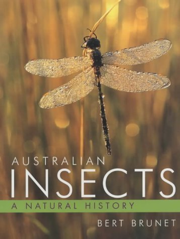 Stock image for Australian Insects: A Natural History. for sale by G. & J. CHESTERS