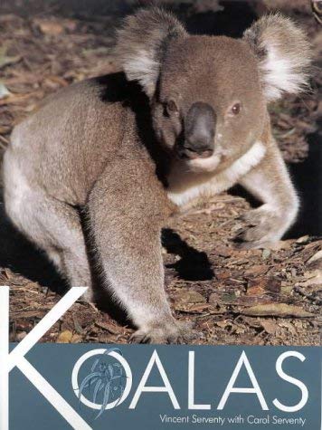 Stock image for Koalas for sale by AwesomeBooks