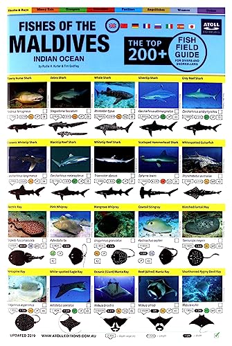 Imagen de archivo de Maldives Fish Field Guide "Top 200+" a la venta por Books Puddle