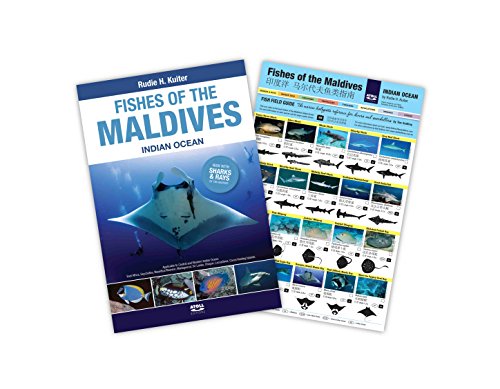fishes of the maldives book