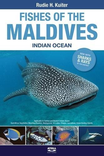 9781876410254: Fishes of the Maldives: Indian Ocean