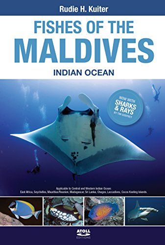 Stock image for Fishes of the Maldives for sale by Blackwell's
