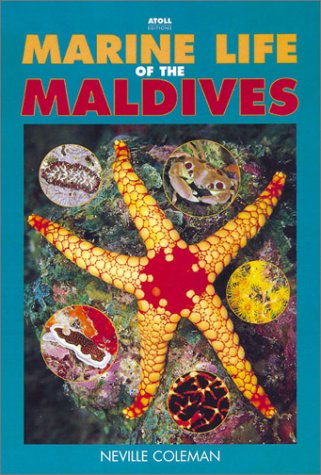 Stock image for Marine Life of the Maldives for sale by ThriftBooks-Dallas
