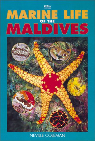 Stock image for Marine Life of the Maldives for sale by GF Books, Inc.