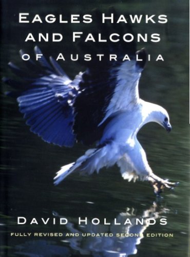 Stock image for Eagles, Hawks and Falcons of Australia for sale by Arete Books
