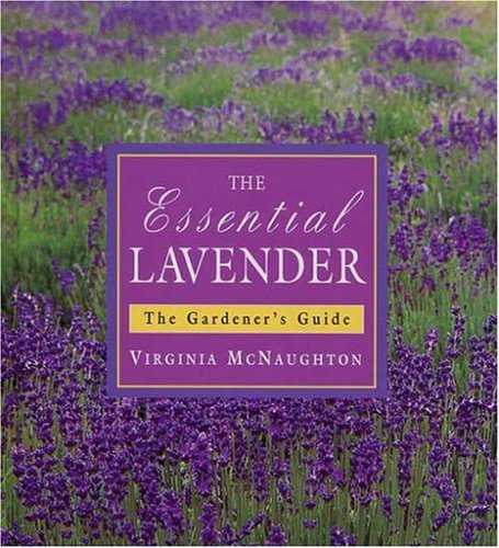 9781876473273: The Essential Lavender: The Grower's Guide