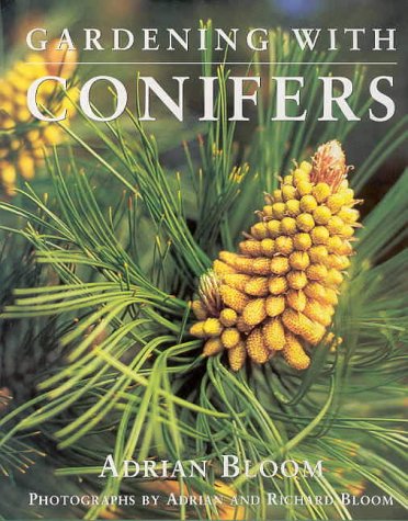 9781876473310: Gardening with Conifers