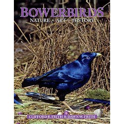 Beispielbild fr Bowerbirds: Nature, Art & History zum Verkauf von Irish Booksellers