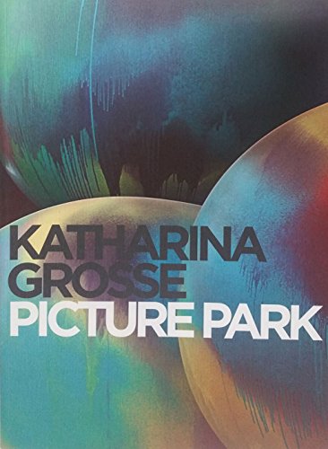 9781876509989: Katharina Grosse: Picture Park