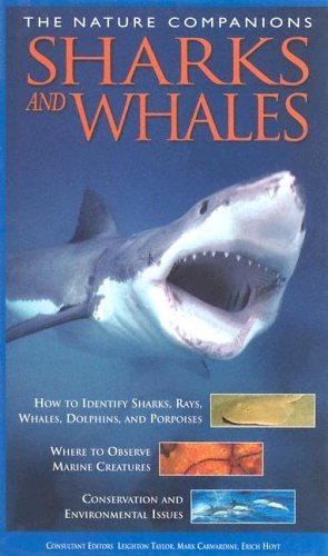 Stock image for Sharks and Whales : The Nature Companions. for sale by Eryops Books