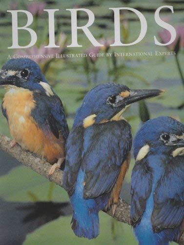 9781877019708: Encyclopedia Of Birds: A Comprehensive Illustrated Guide By International Exper