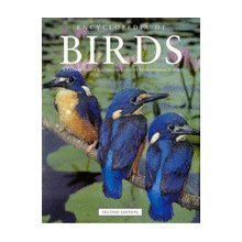 Stock image for Encyclopedia Of Birds: A Comprehensive Illustrated Guide By International Exper for sale by HPB-Ruby
