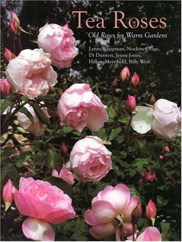 Tea Roses: Old Roses for Warm Gardens