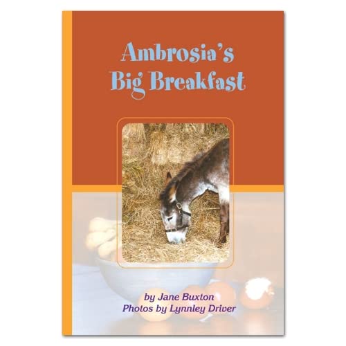 Rainbow Reading Ambrosia's Big Breakfast (Orange Series) (9781877223112) by Buxton, Jane