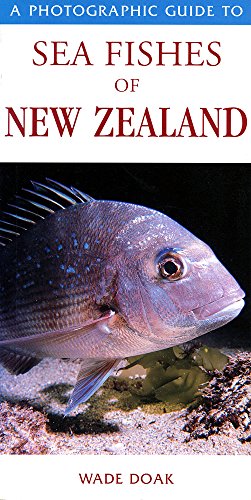 Stock image for Photographic Guide to Sea Fishes of New Zealand for sale by GreatBookPrices
