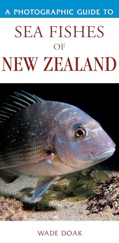 Stock image for A Photographic Guide to Sea Fishes of New Zealand for sale by The Bookseller