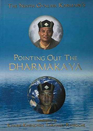 Beispielbild fr Pointing Out the Dharmakaya zum Verkauf von The Denver Bookmark