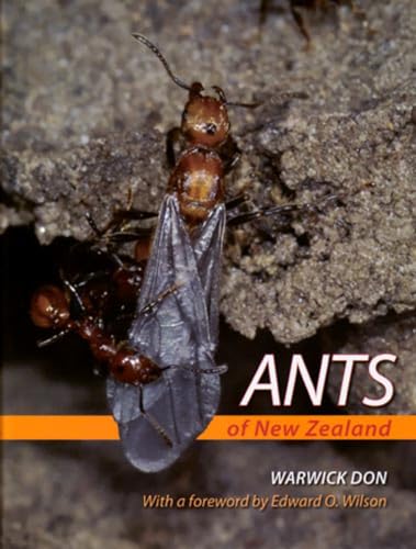 9781877372476: Ants of New Zealand