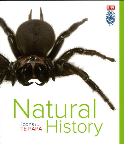 Stock image for Icons from Te Papa: NATURAL HISTORY for sale by Book Express (NZ)