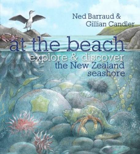 Stock image for At the Beach: Explore & Discover the New Zealand Seashore for sale by AwesomeBooks