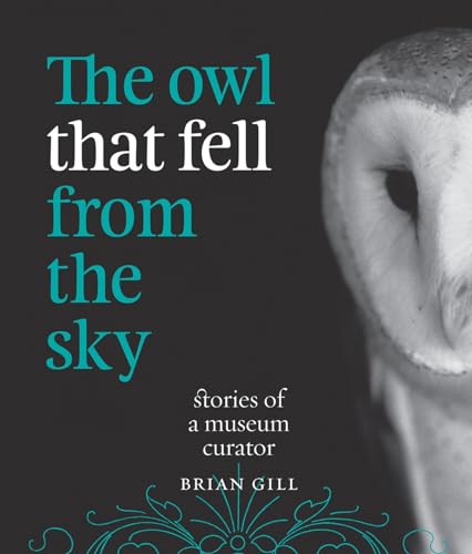 Beispielbild fr The Owl That Fell from the Sky: Stories of a Museum Curator zum Verkauf von Zoom Books Company