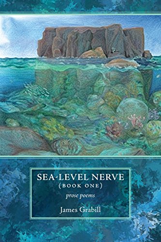 Stock image for Sea-Level Nerve: Book One for sale by Pelican Bay Books