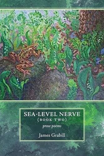 Stock image for Sea-Level Nerve: Book Two for sale by Pelican Bay Books