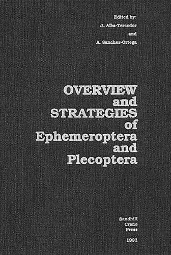 Stock image for Overview and Strategies of Ephemeroptera and Plecoptera for sale by ProPen