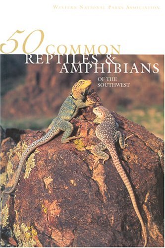 Stock image for 50 Common Reptiles & Amphibians of the Southwest for sale by Your Online Bookstore