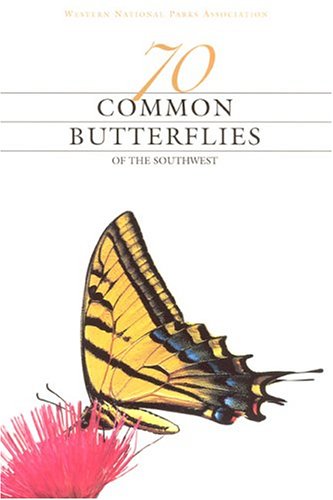 9781877856846: 70 Common Butterflies of the Southwest