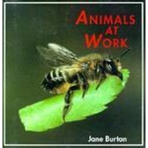 Imagen de archivo de Animals at Work (Animal Ways) a la venta por HPB-Emerald