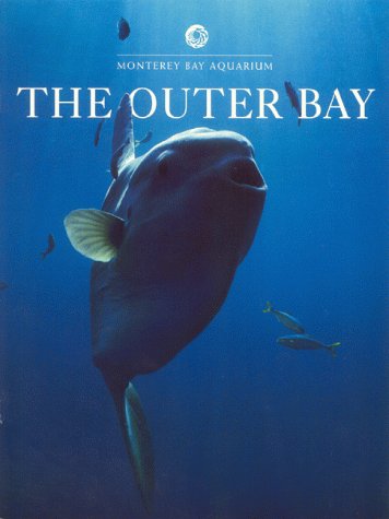 Stock image for The Outer Bay for sale by Jenson Books Inc