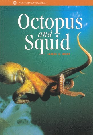 Stock image for Octopus and Squid (Monterey Bay Aquarium Natural History Series) (Monetary Bay Aquarium Natural History Series) for sale by SecondSale