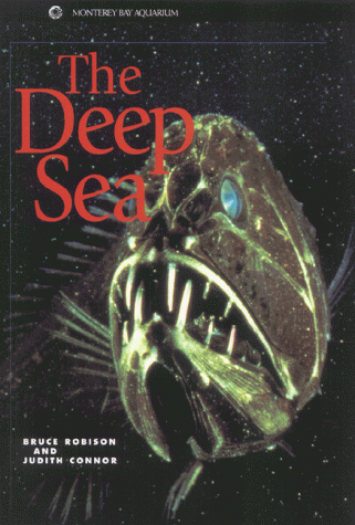 Stock image for The Deep Sea for sale by ThriftBooks-Atlanta